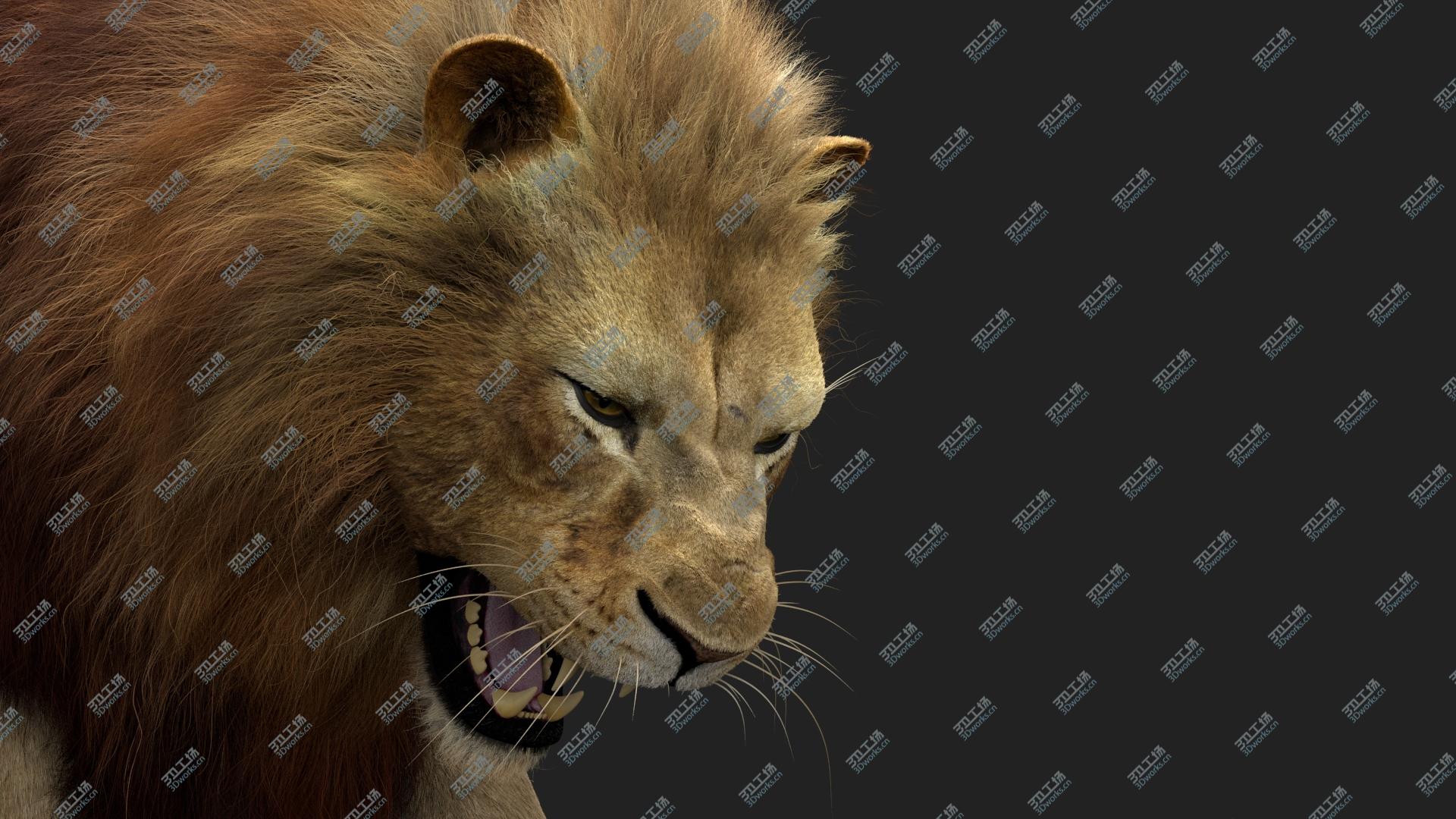 images/goods_img/2021040234/3D model Lion 3 (Fur) Rigged/4.jpg
